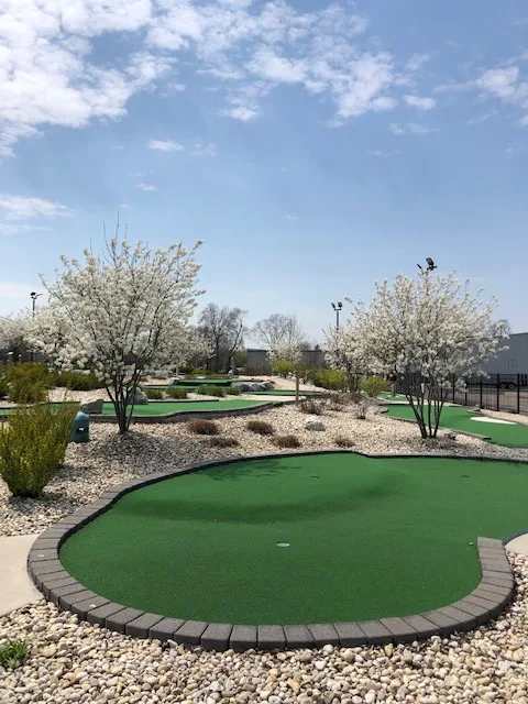 Mini golf greens surrounded by white blossoming trees
